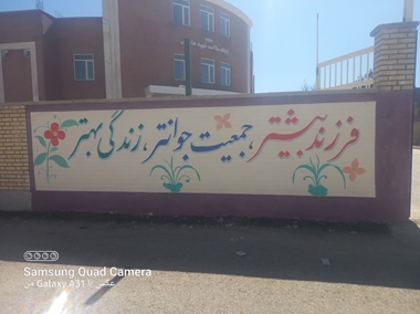 اطلاع رسانی جهت فرزند آوری به روایت تصویر